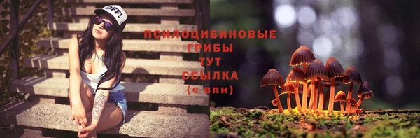 стафф Лихославль