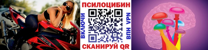 blacksprut tor  Павловский Посад  Псилоцибиновые грибы Psilocybe 
