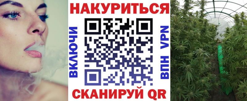 Канабис VHQ  дарнет шоп  Павловский Посад 